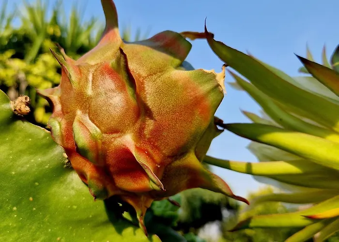 Quinta De S. Vicente 317 * Vila Nova de Famalicão