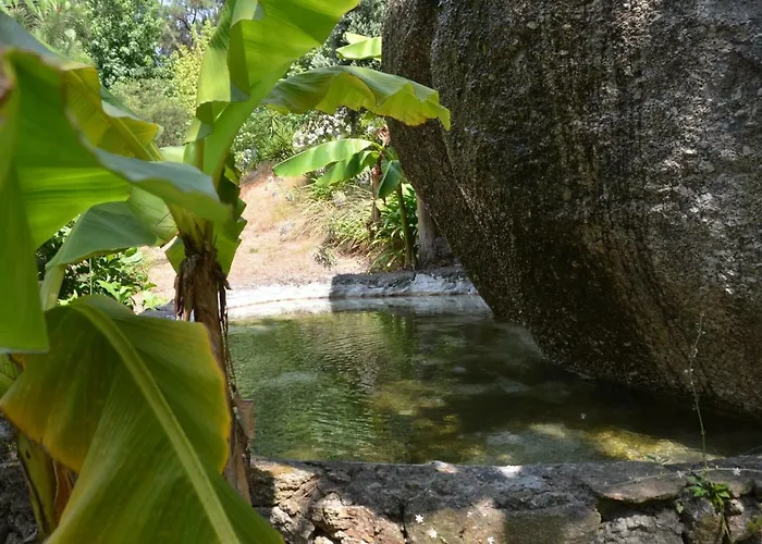 Quinta De S. Vicente 317 Tatil Evi *