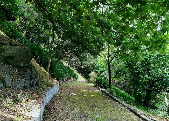 Quinta De S. Vicente 317 Dom wakacyjny Vila Nova de Famalicão