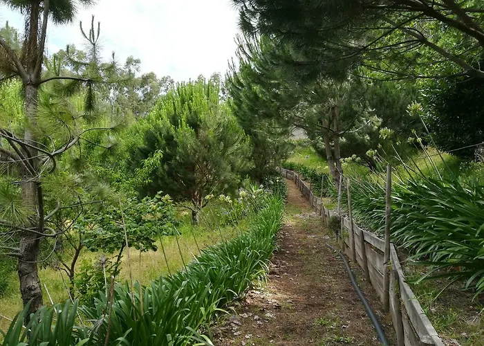 Quinta De S. Vicente 317