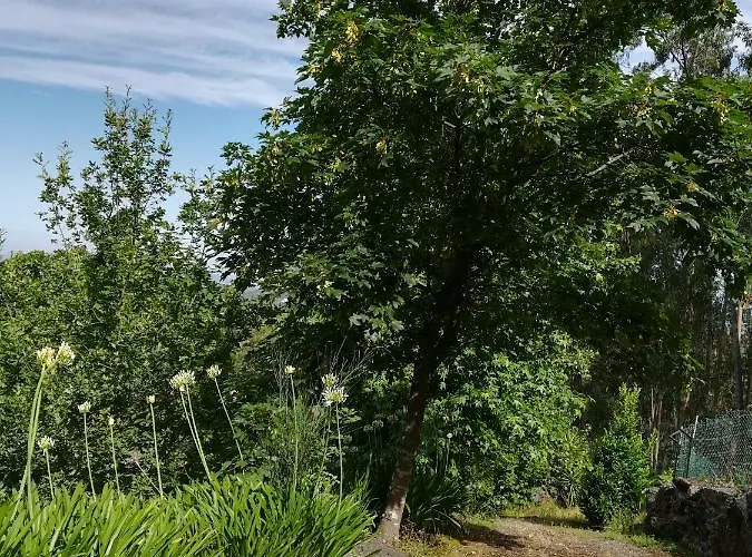 Quinta De S. Vicente 317 Vila Nova de Famalicão