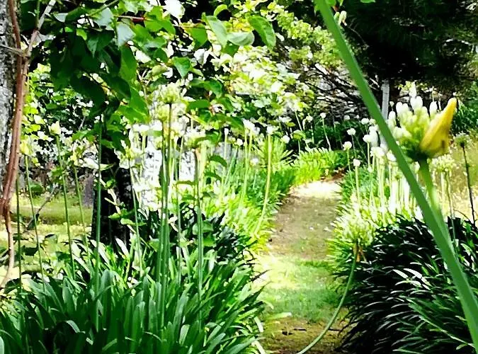 Quinta De S. Vicente 317