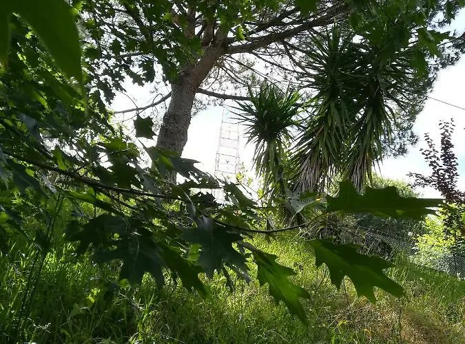 Quinta De S. Vicente 317 *