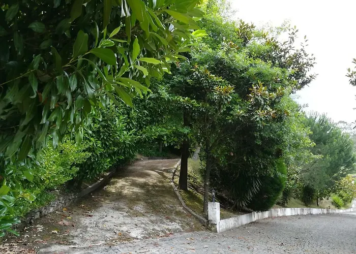 Dom wakacyjny Quinta De S. Vicente 317 *