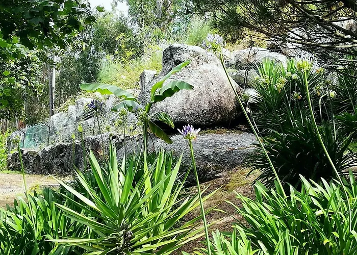 Quinta De S. Vicente 317