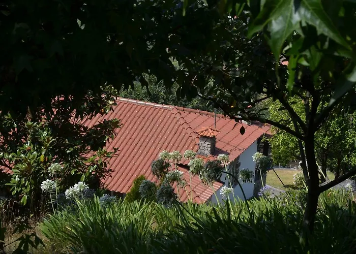 Dom wakacyjny Quinta De S. Vicente 317 Vila Nova de Famalicão