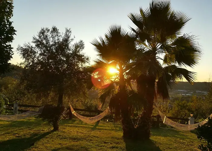 Quinta De S. Vicente 317 Dom wakacyjny Vila Nova de Famalicão