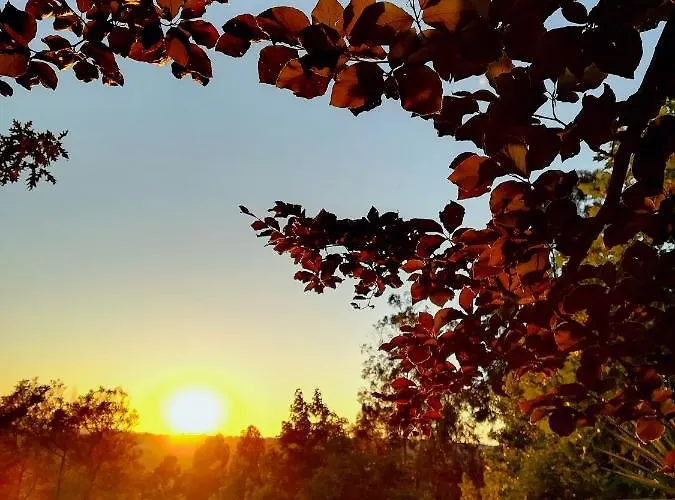 Quinta De S. Vicente 317 Dom wakacyjny Vila Nova de Famalicão