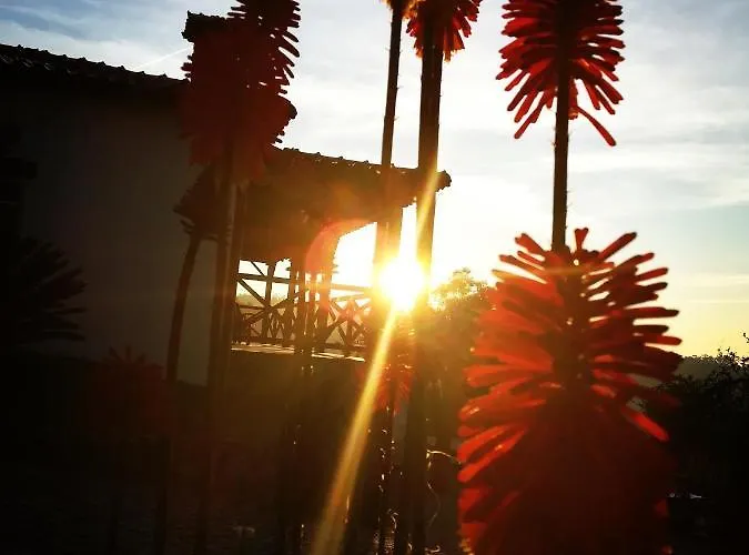 Quinta De S. Vicente 317 *